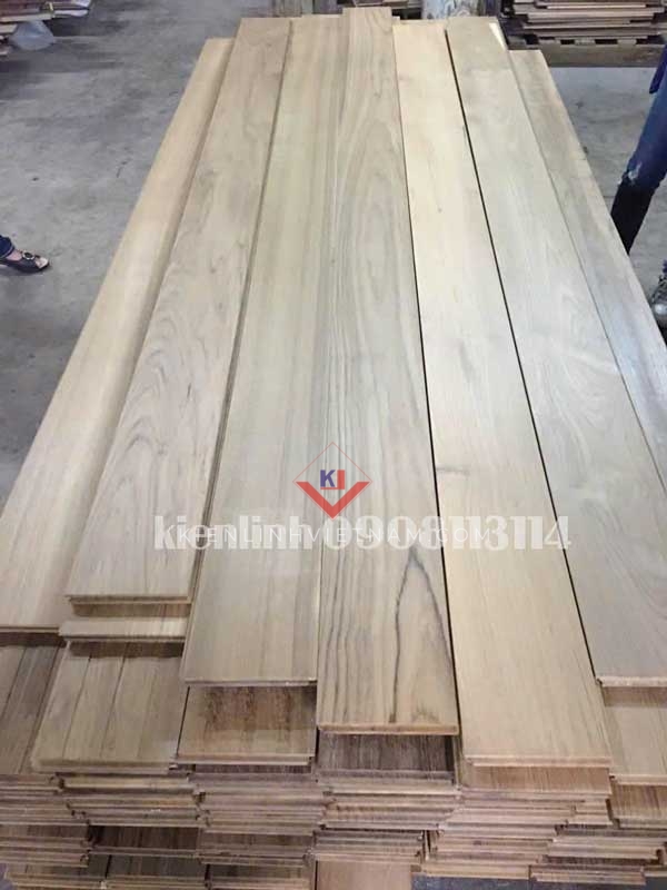 gỗ teak myanmar khai thác từ rừng tự nhiên Myanmar