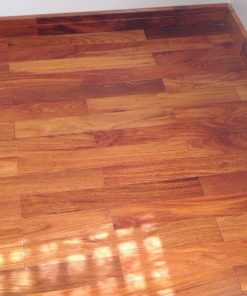 san go cam xe tu nhien