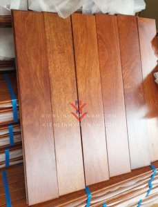 san cam xe cao cap dai 600mm