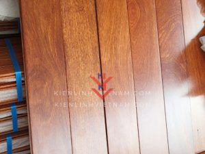 san cam xe cao cap dai 600mm