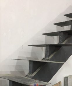 cau thang sat xuong ca