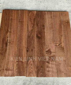 san go ky thuat oc cho my