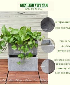 chậu ốp tường trồng hoa
