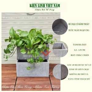 chậu ốp tường trồng hoa