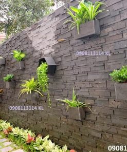 chau treo tuong dung