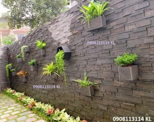 chau treo tuong dung