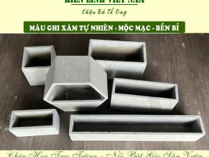 chậu treo lên tường trồng cây xanh