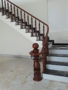 tay vin hat xoai song tien go cam xe