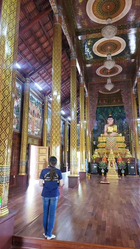 ốp tường bằng căm xe lào