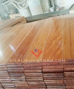 san cam xe tu nhien gia re