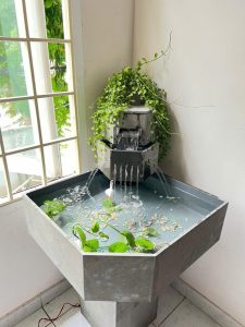 hồ cá setup sẵn cho ban công nhỏ