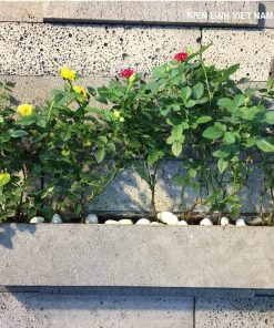 chau cay dai 60cm bang da ong xam tu nhien