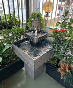 HO CA TIEU CANH NUOC PHONG THUY