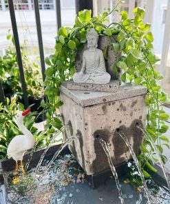 tieu canh nuoc phong thuy