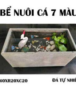 Hồ nuôi cá mini đặt ban công D40xR20xC20cm