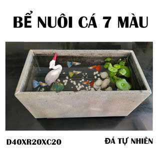 hồ nuôi cá mini 7 màu đặt ban công